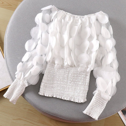 Puff Sleeve See-through Mesh Chiffon Shirt - RALO COLLECTION STUDIO