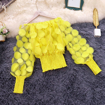Puff Sleeve See-through Mesh Chiffon Shirt - RALO COLLECTION STUDIO
