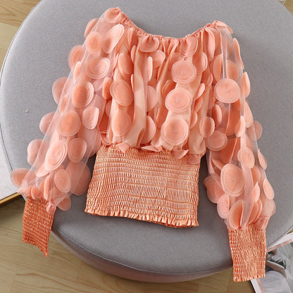 Puff Sleeve See-through Mesh Chiffon Shirt - RALO COLLECTION STUDIO