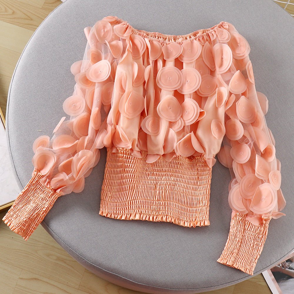 Puff Sleeve See-through Mesh Chiffon Shirt - RALO COLLECTION STUDIO