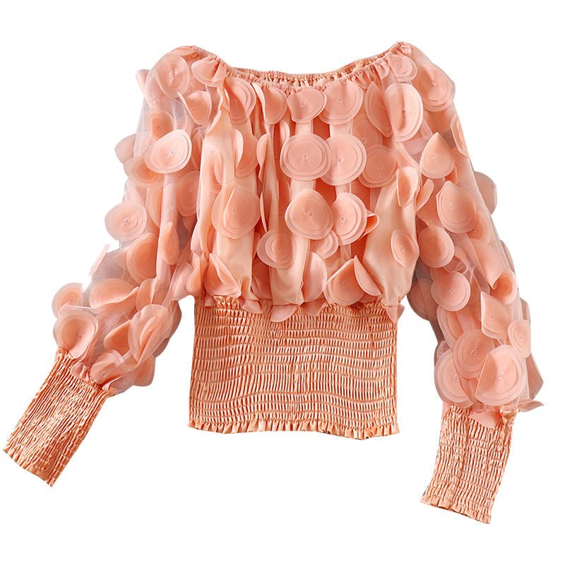 Puff Sleeve See-through Mesh Chiffon Shirt - RALO COLLECTION STUDIO